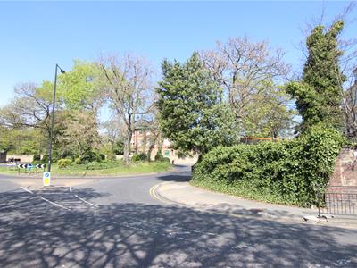 Picture 16